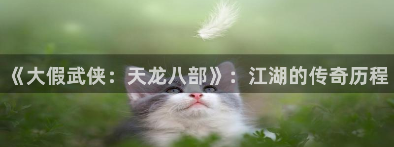 尊龙图片