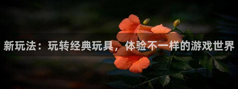 尊龙会所小费多少钱